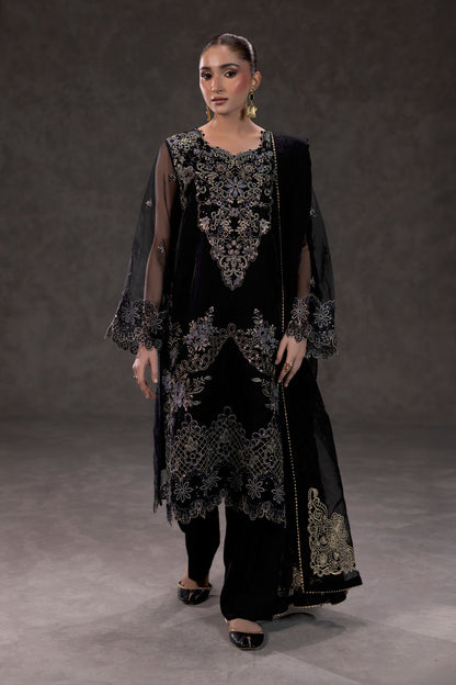 Black Embroidered Organza Suit