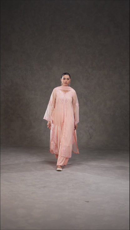 Peach Embroidered Organza Suit